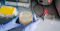 Hands with rubber gloves holding petri dishes in a laboratory