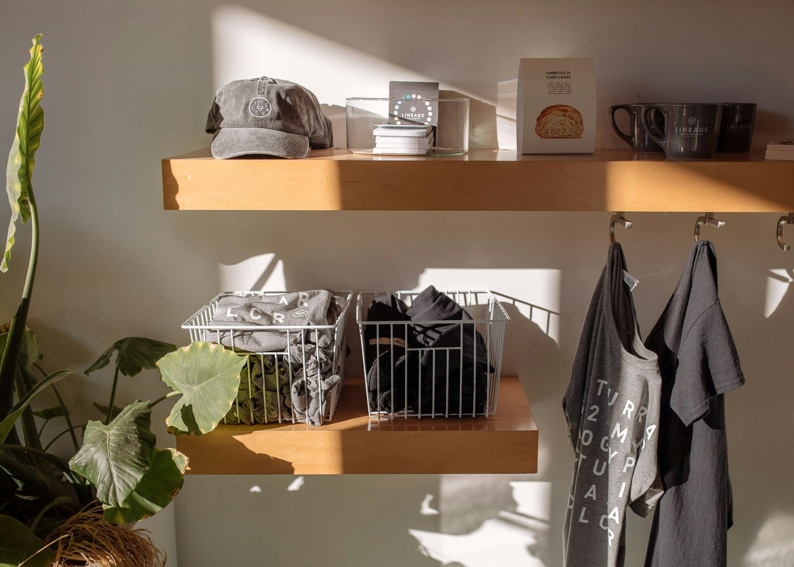 Lineage Coffee Roasters display rack 