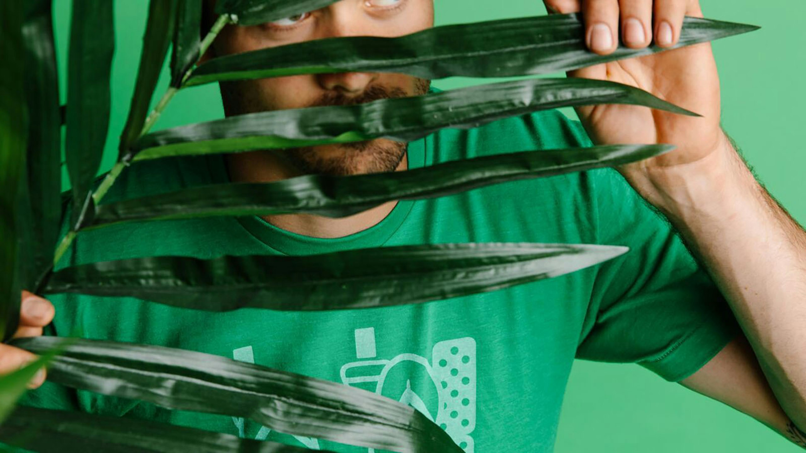 person holding a palm frond 