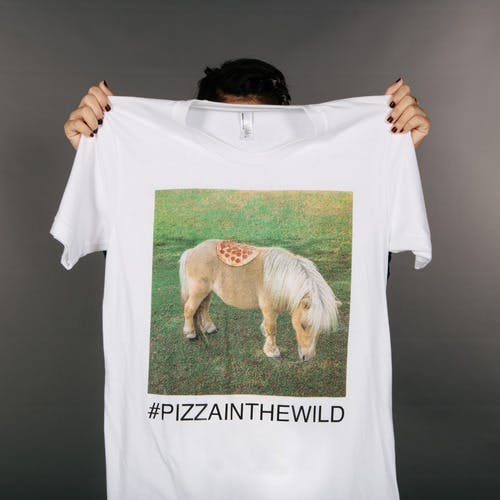 photo print of a pony on a white tee