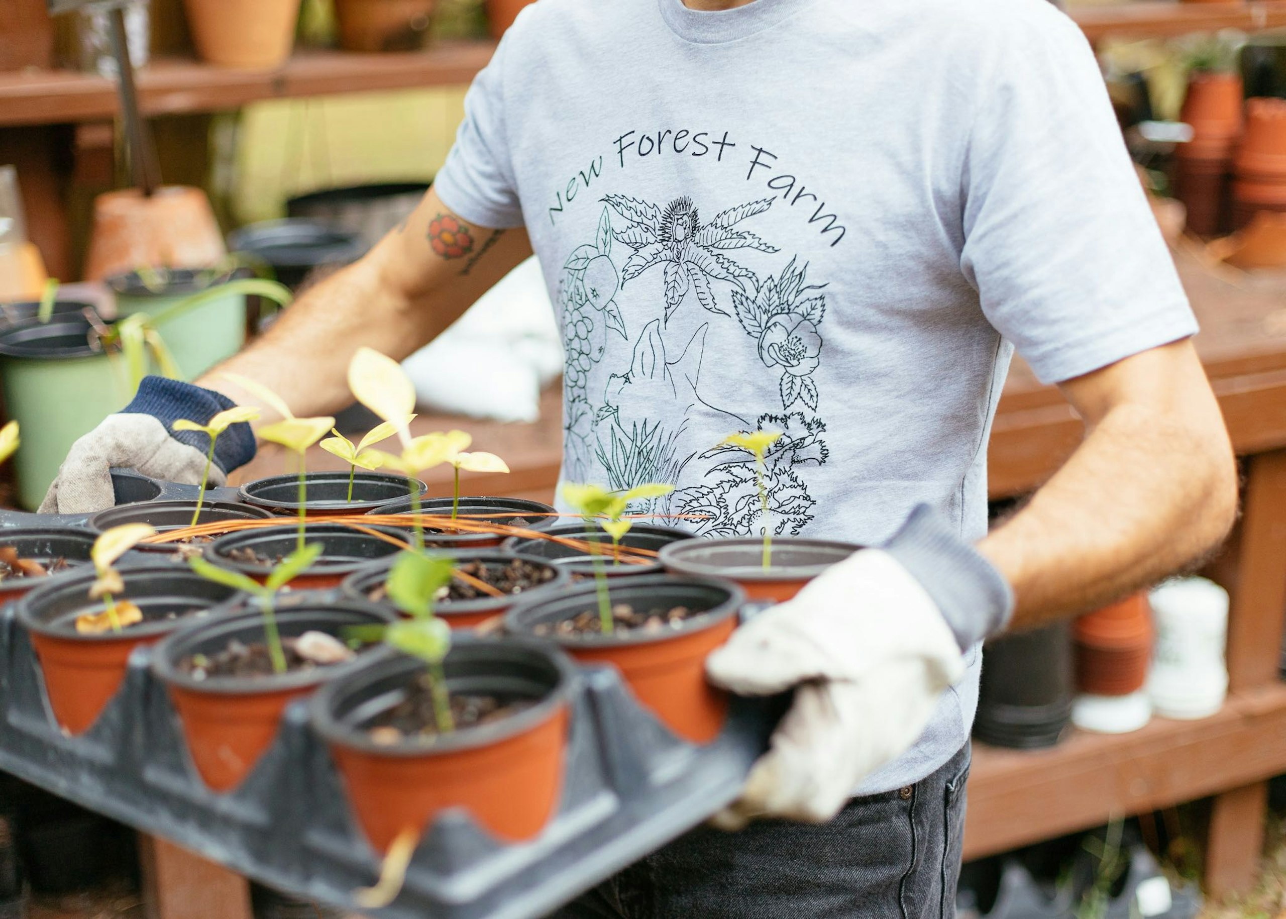 man wearing a gray t-shirt is holding a tray of pots