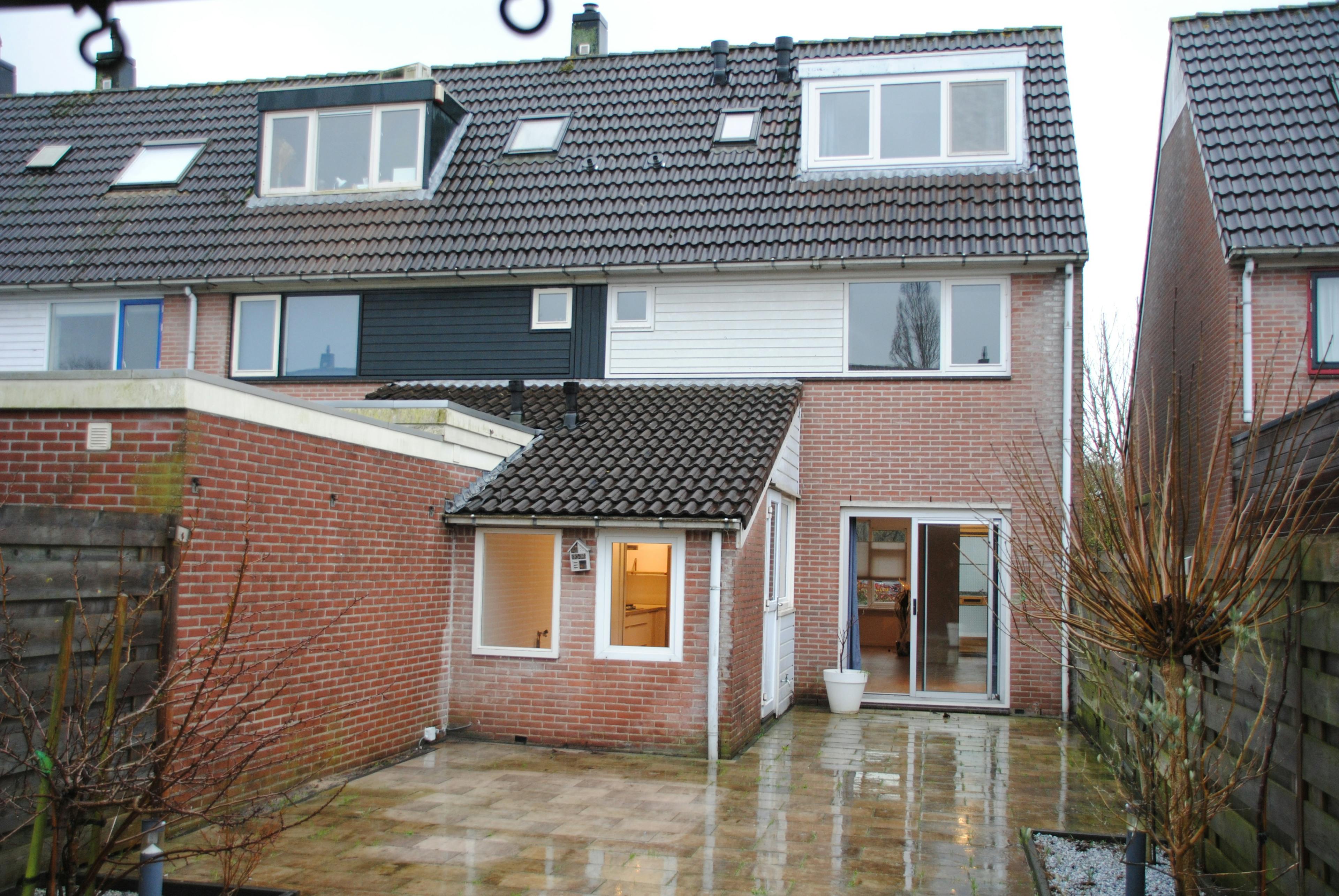 Achtertuin