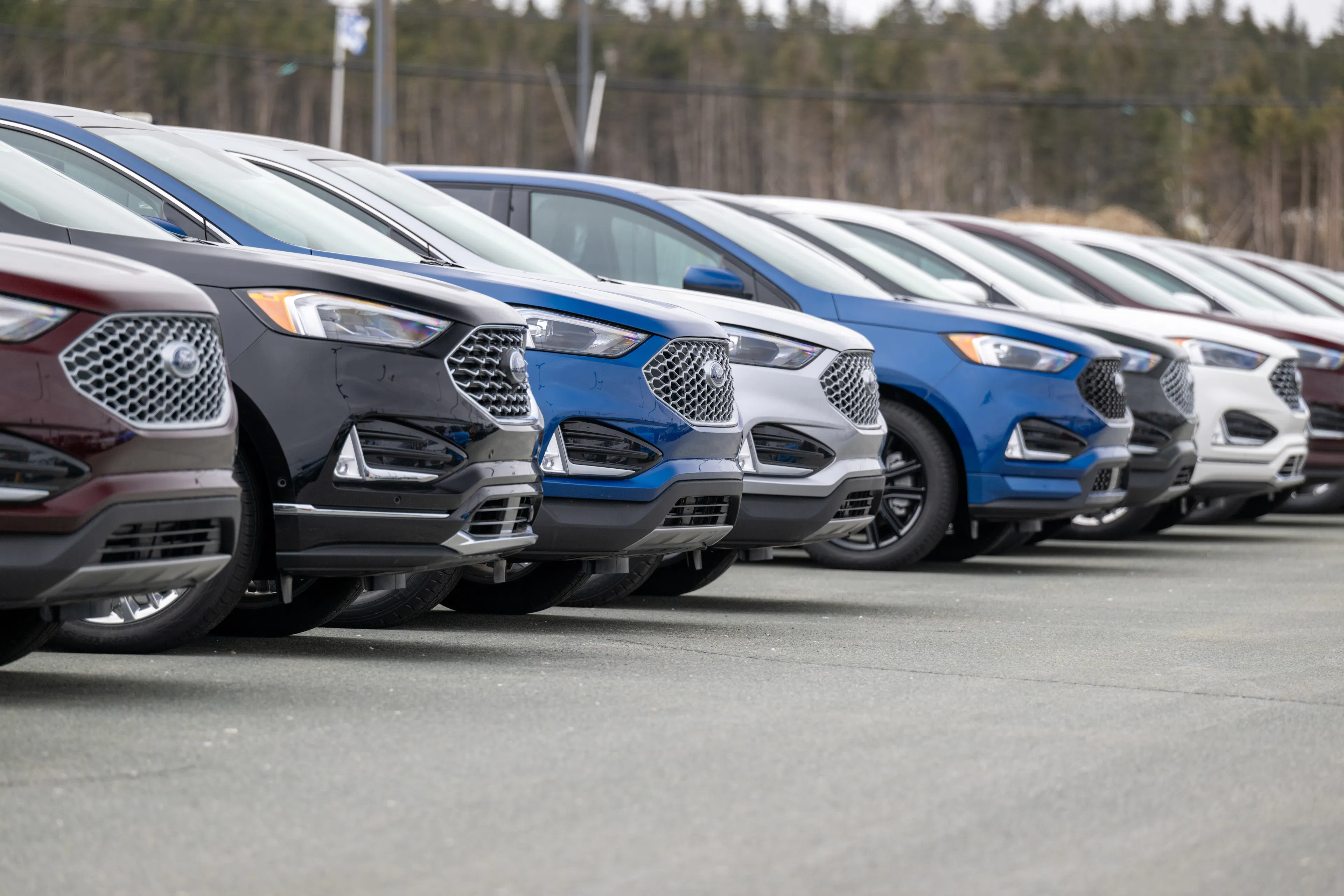 Blue Motor Finance Administration: What Customers Need to Know