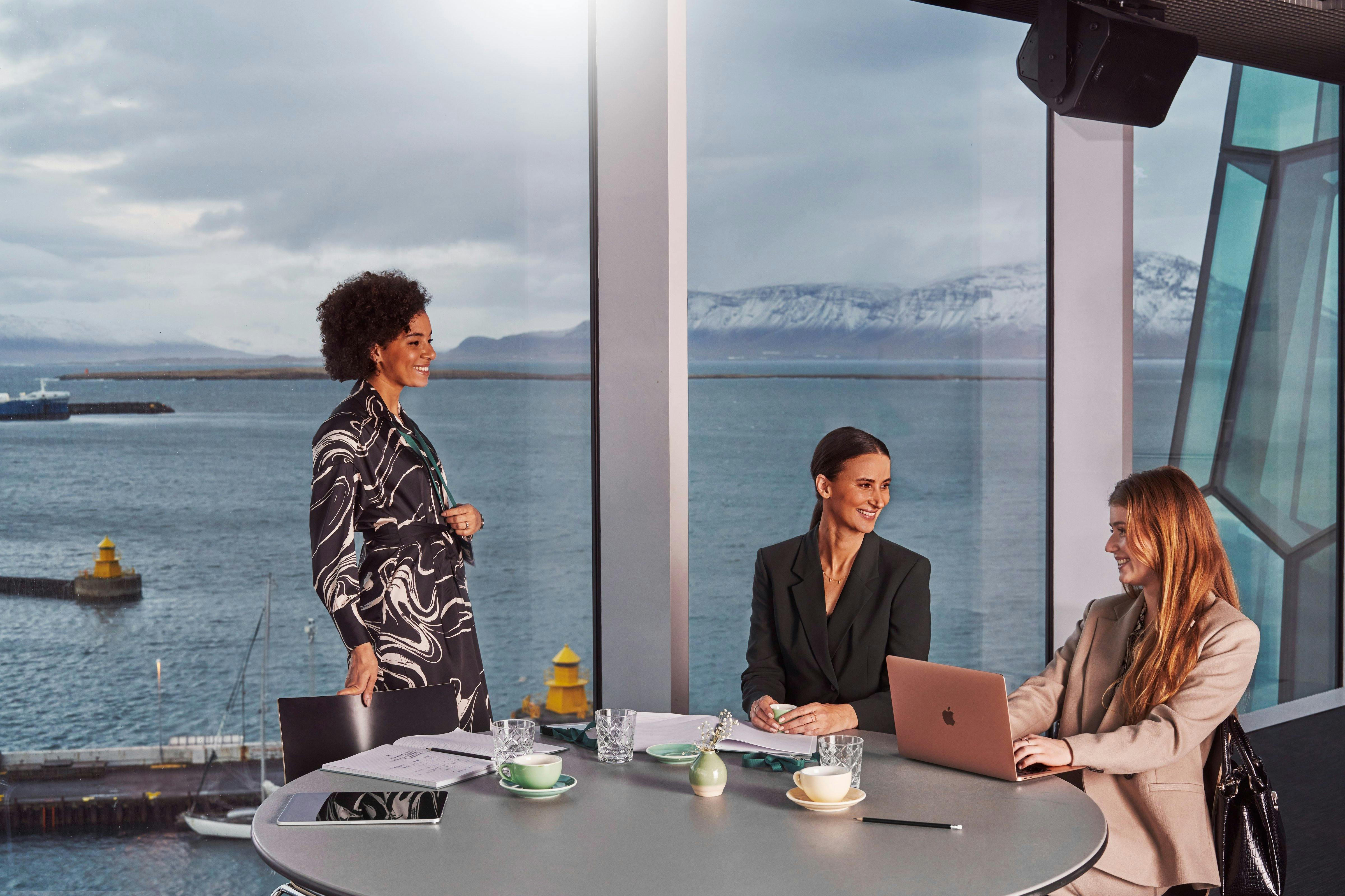 Meeting at Harpa Concert Hall in Reykjavik
