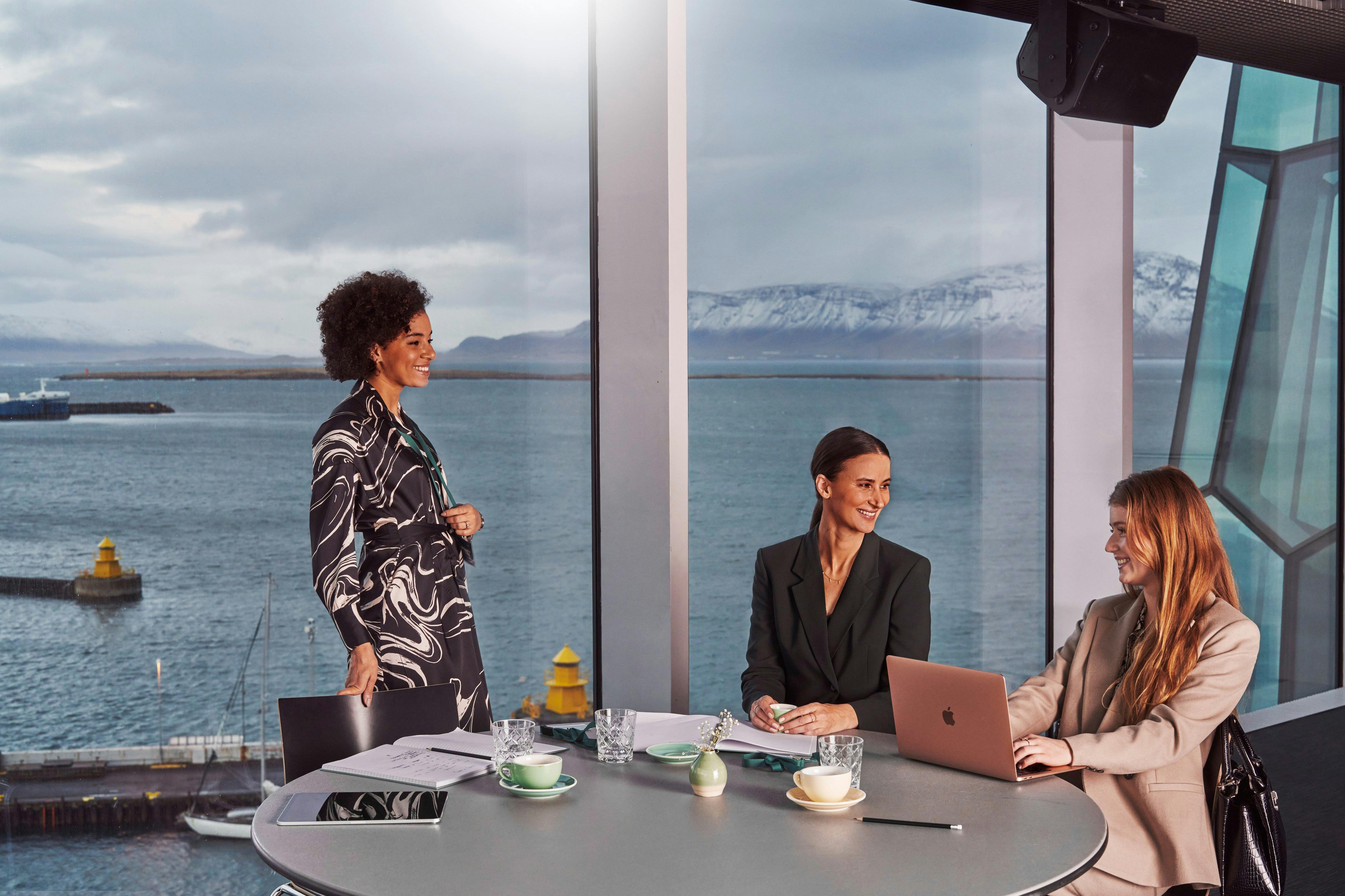 Meeting at Harpa Concert Hall in Reykjavik 