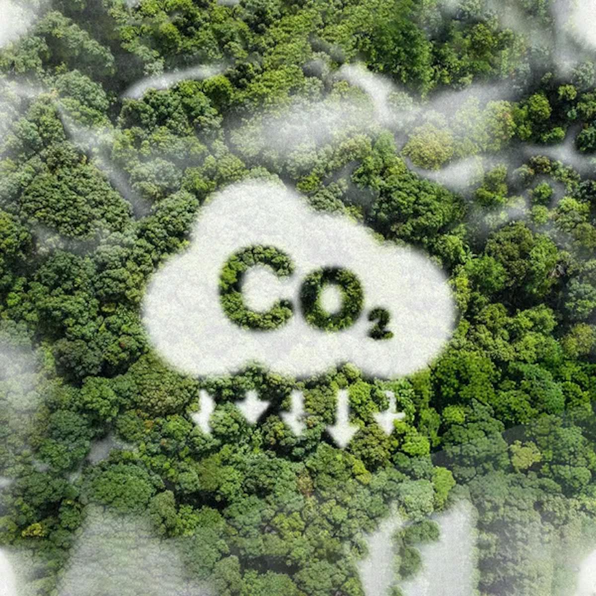 carbon dioxide 