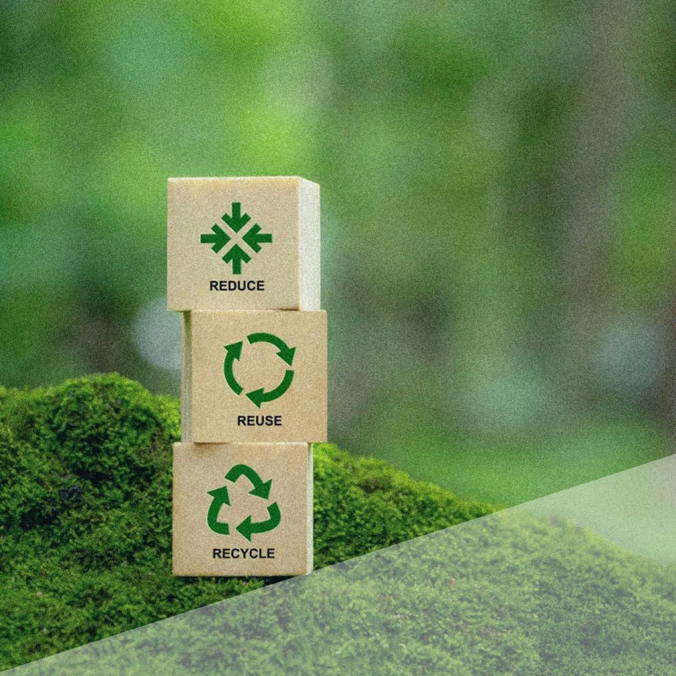 the 3 R's of recycling