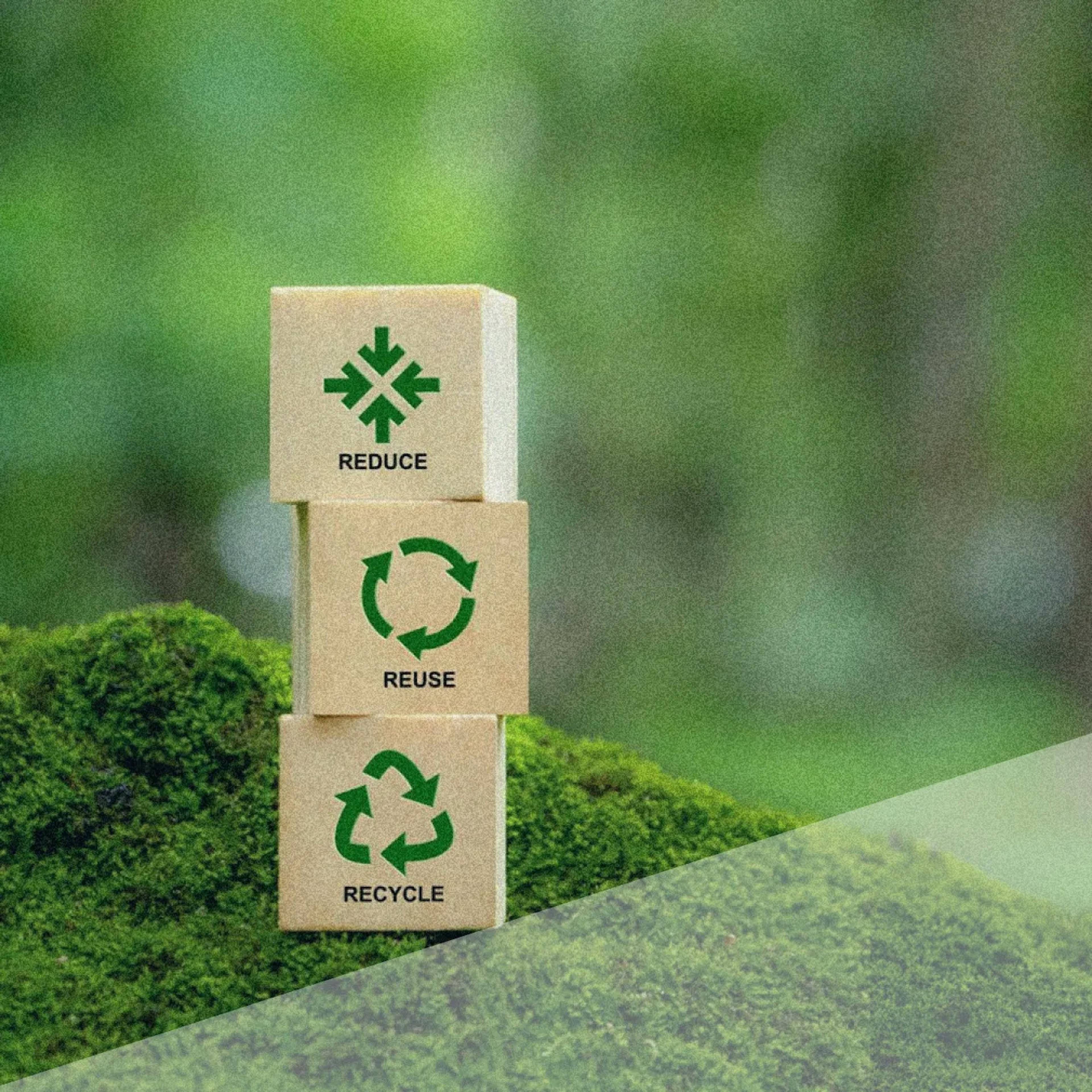 the 3 R's of recycling
