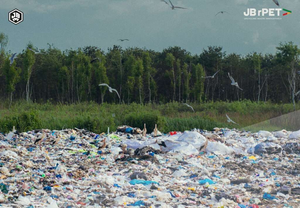 Plastic Waste