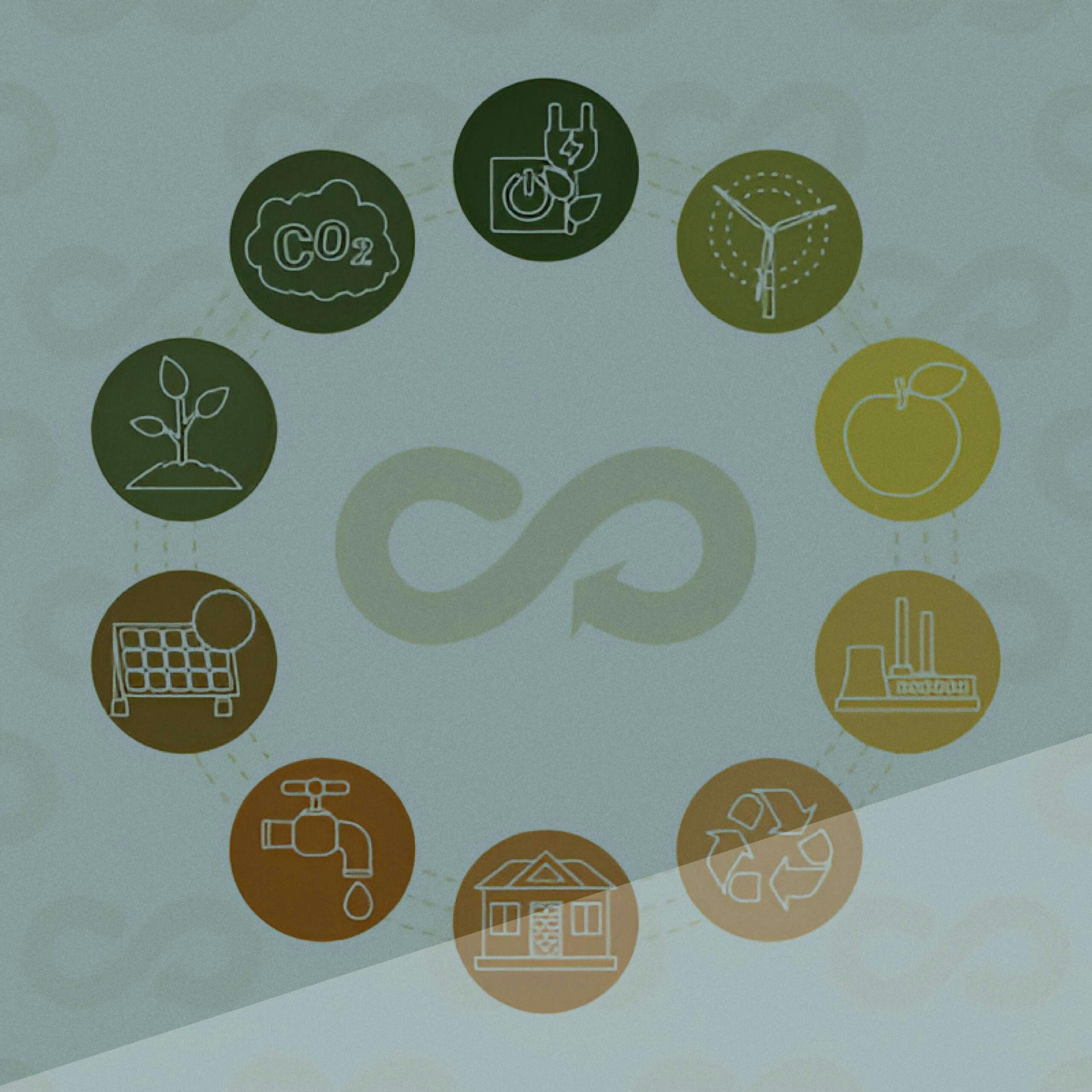 circular economy