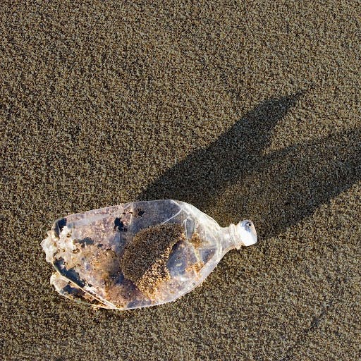 Microplastic Pollution