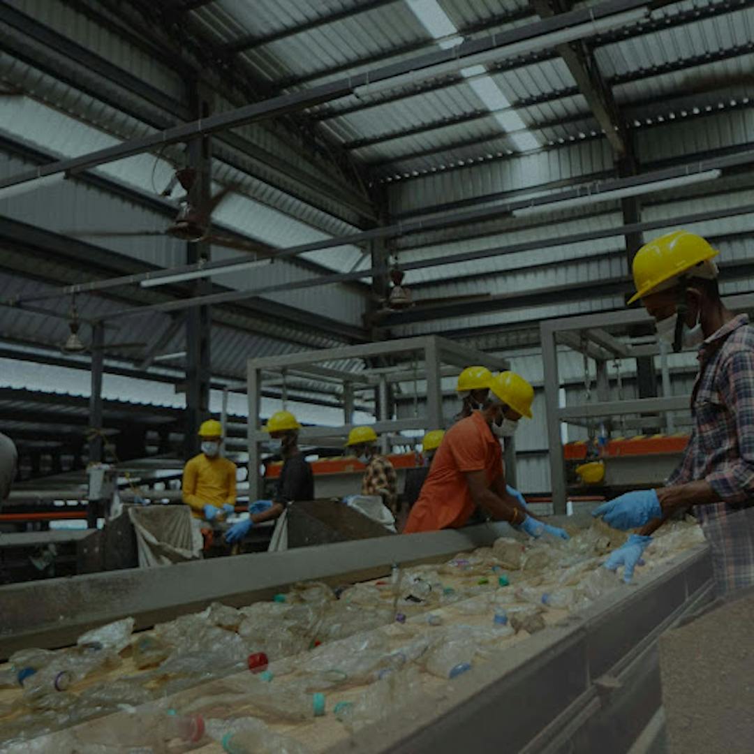 plastic bottle sorting