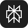 Perplexity AI search