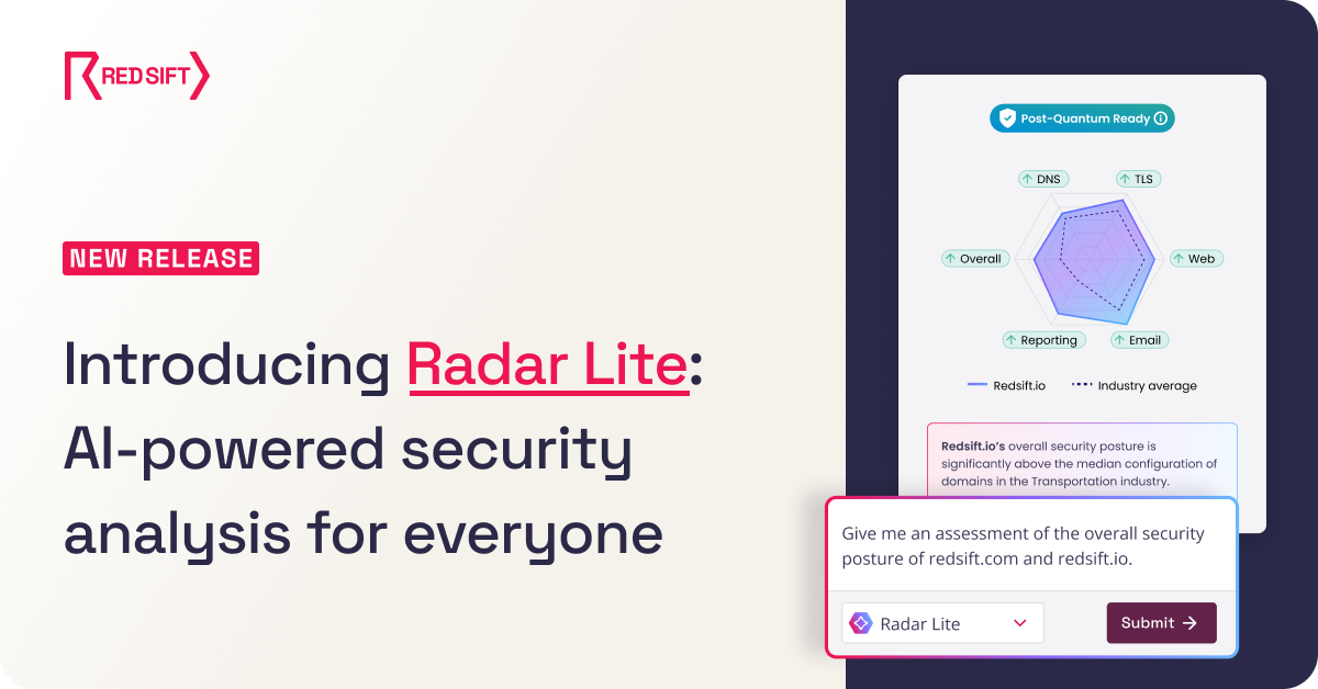 Introducing Radar Lite for AI-powered security checks