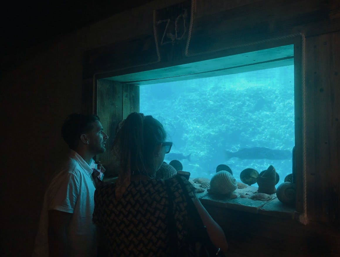 The seaside aquarium viewed from the underwater wine cellar at Zlatan Otok winery in Croatia