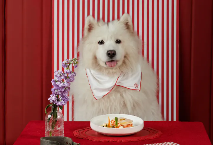 BENJI BISTRO