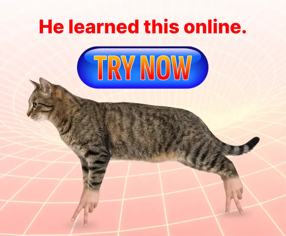 Advertisement