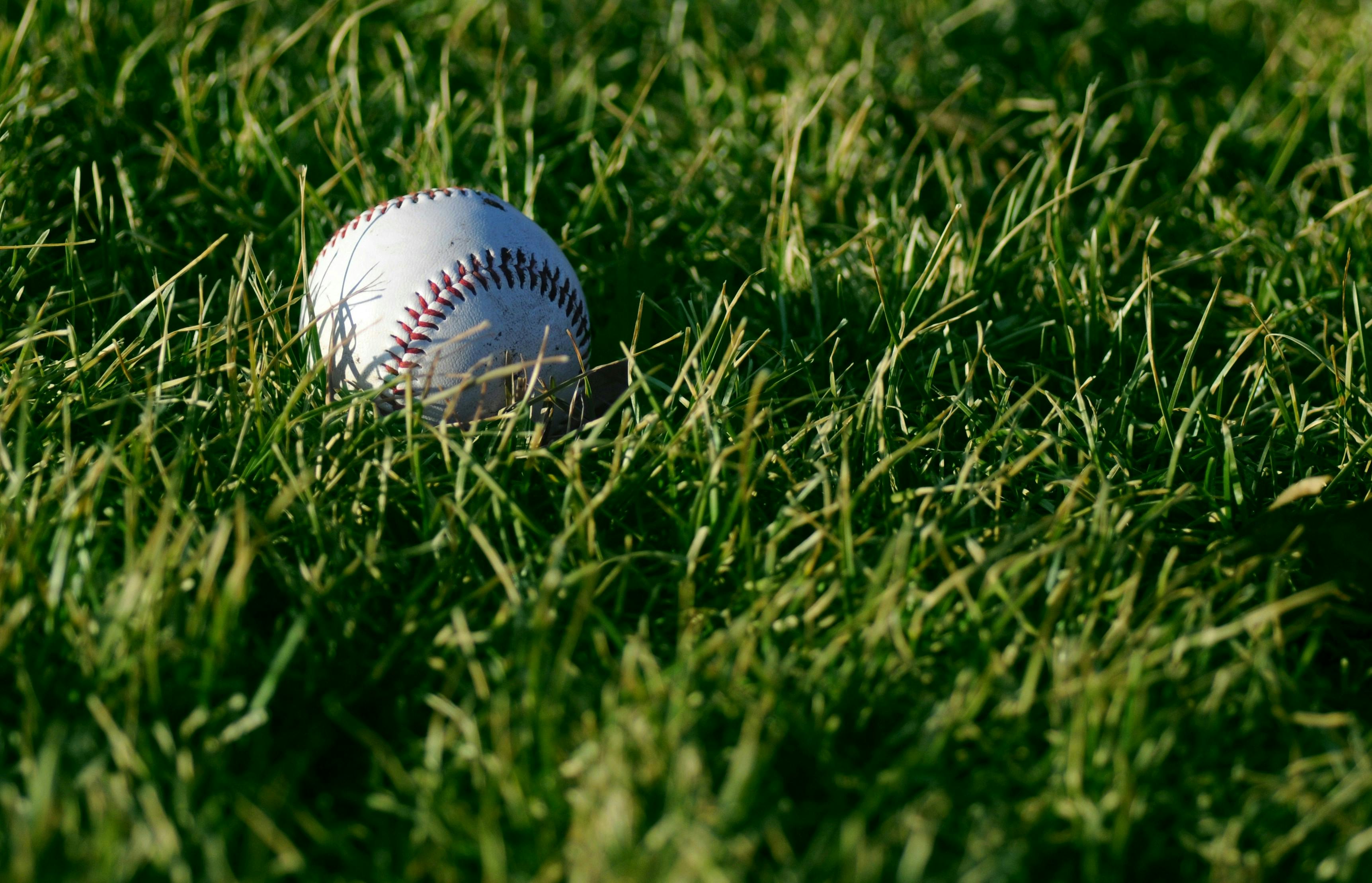Boerne Little League Hero Image