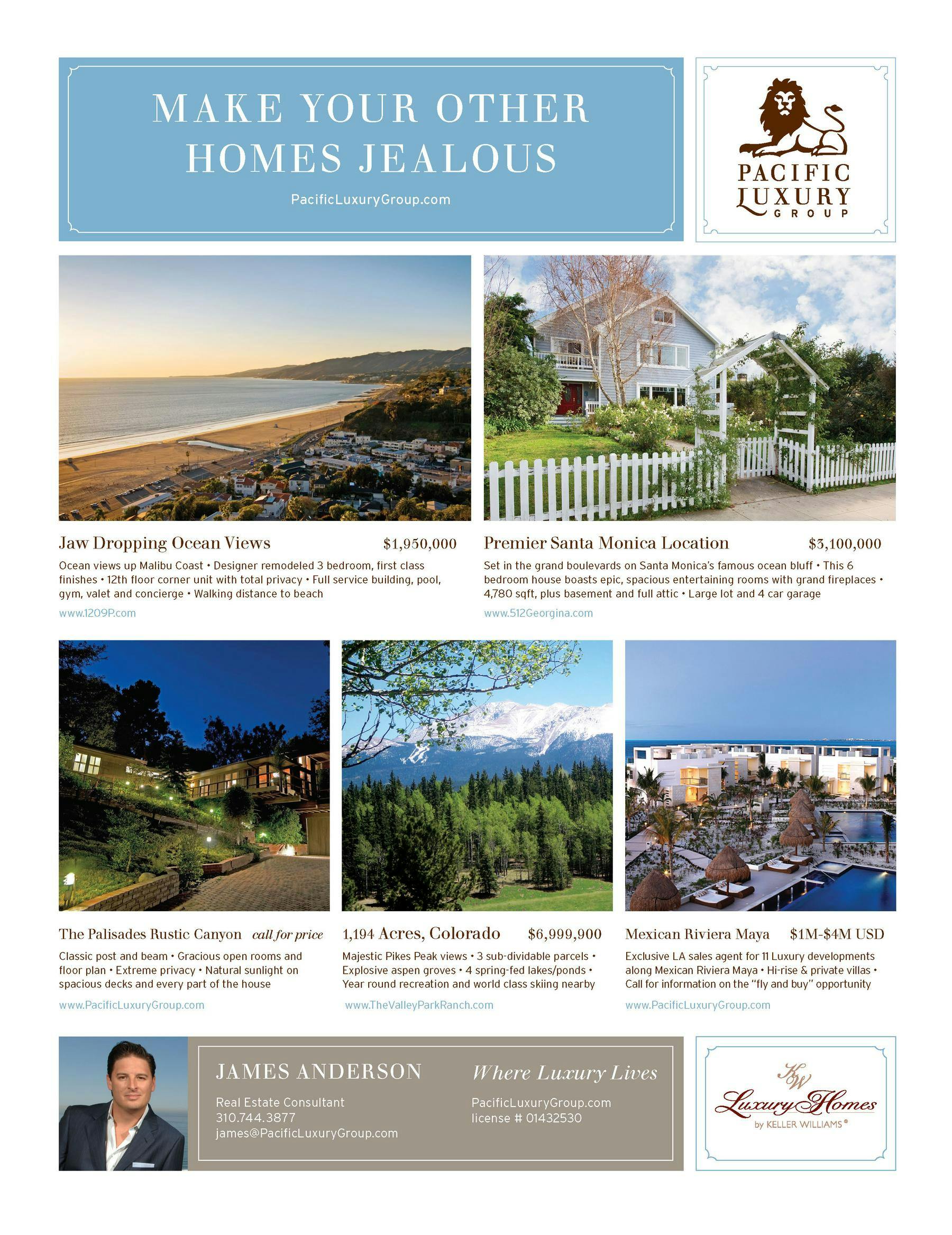 branded flyer