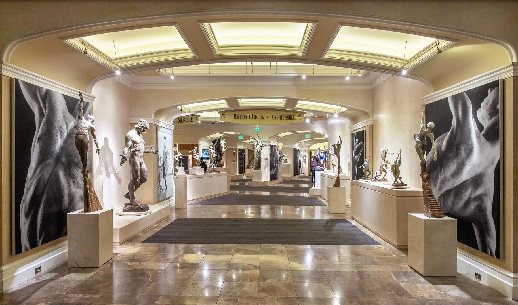 exhibit interior wide