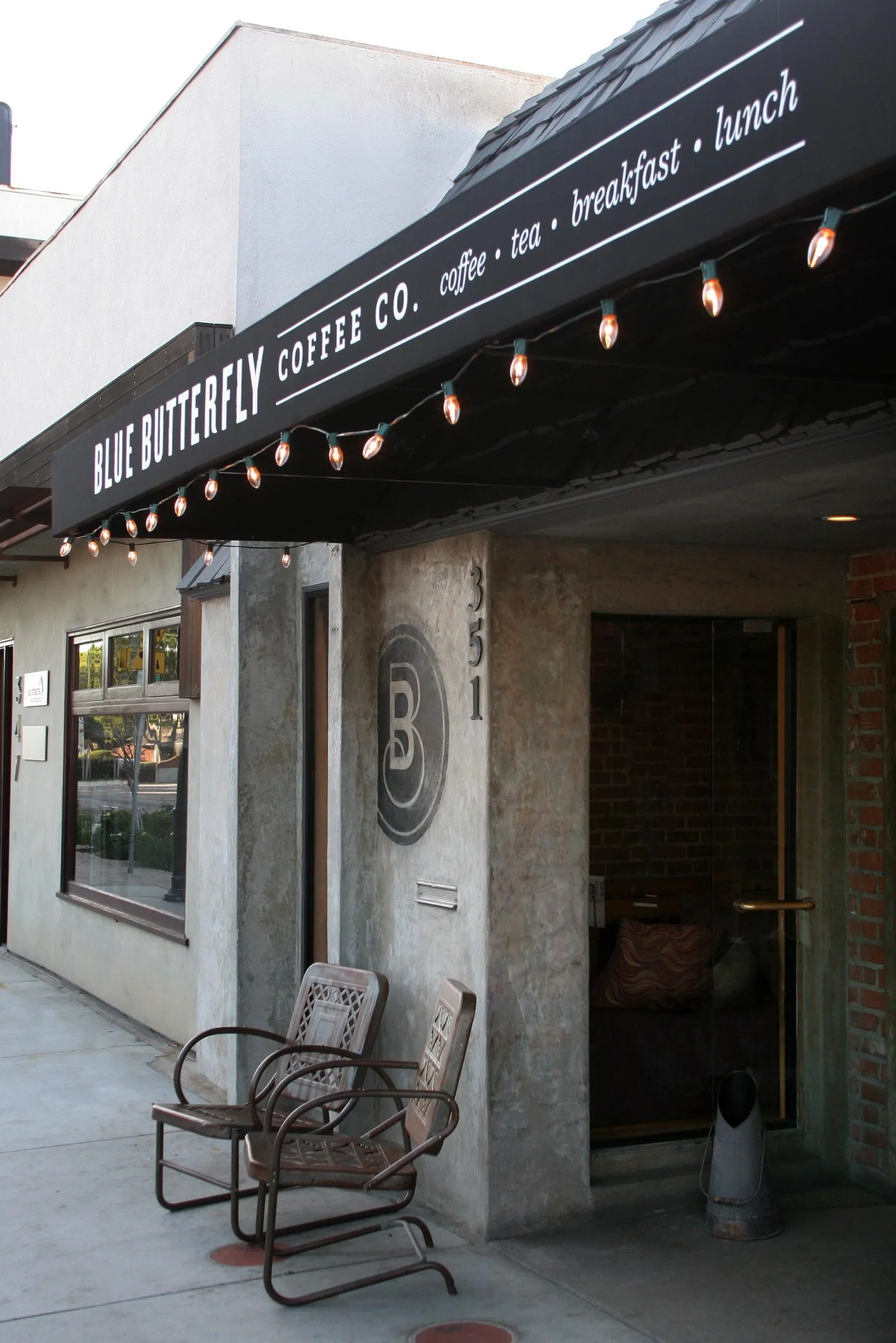 blue butterfly exterior