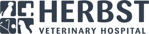 new logo