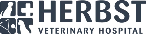 new logo