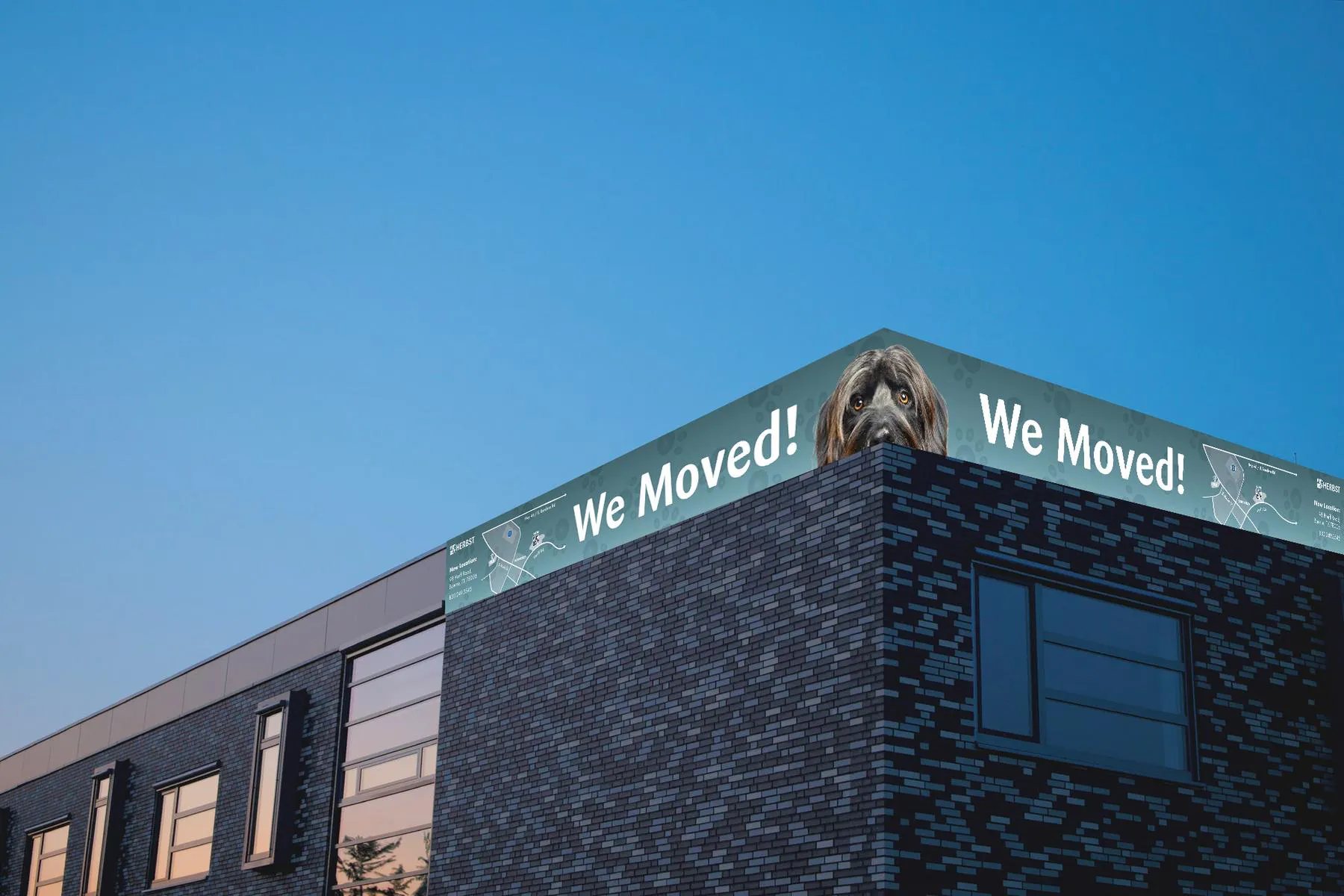we moved banner
