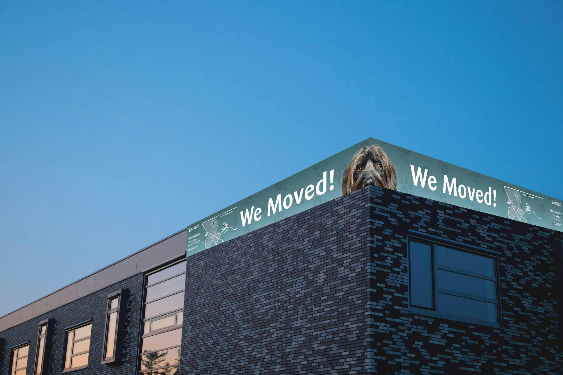 we moved banner