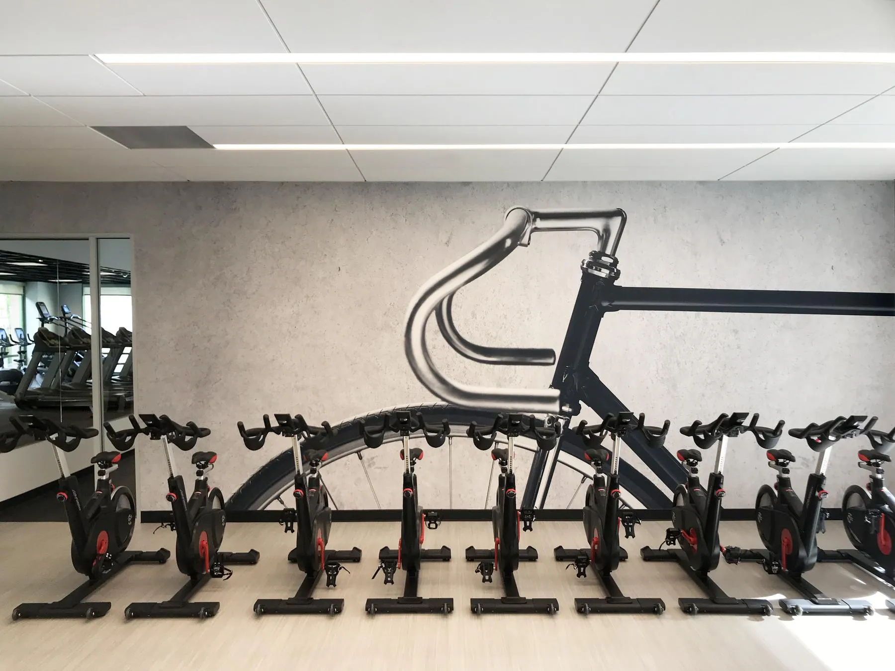 bikes in front of bike on the wall
