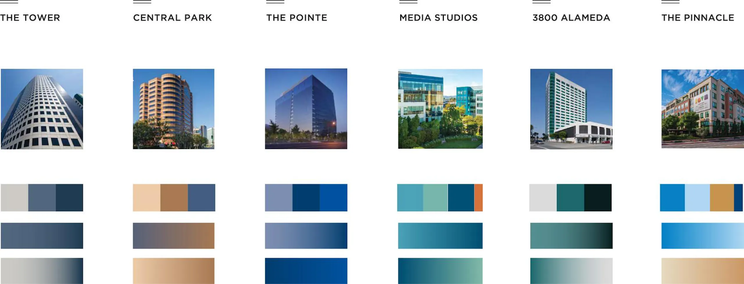 new, cohesive branding system