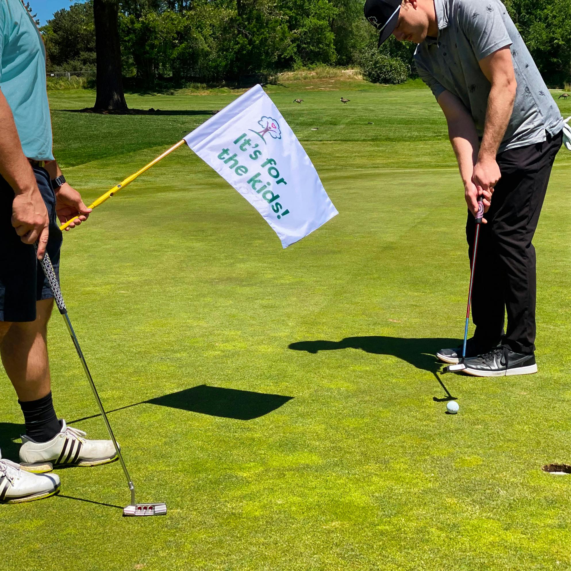 hero image of putting with flag