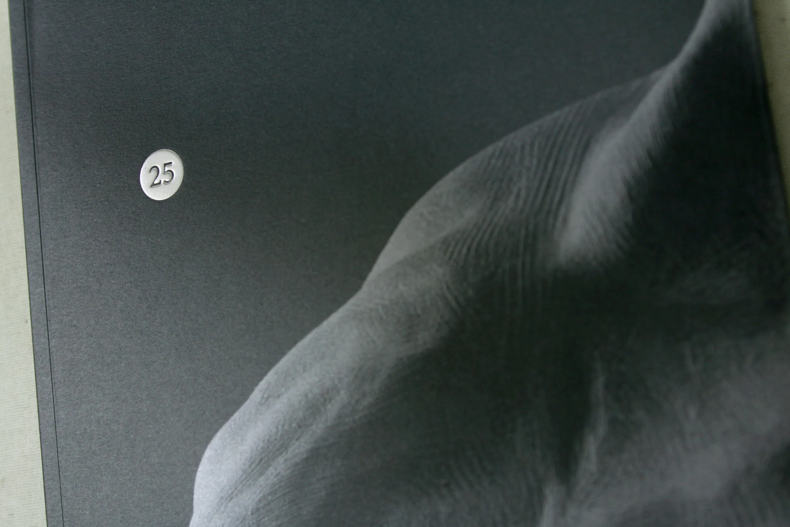 close up on brochure