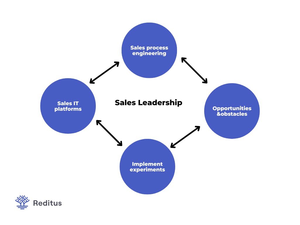 Visual of how sales leadership can be accomplished.  