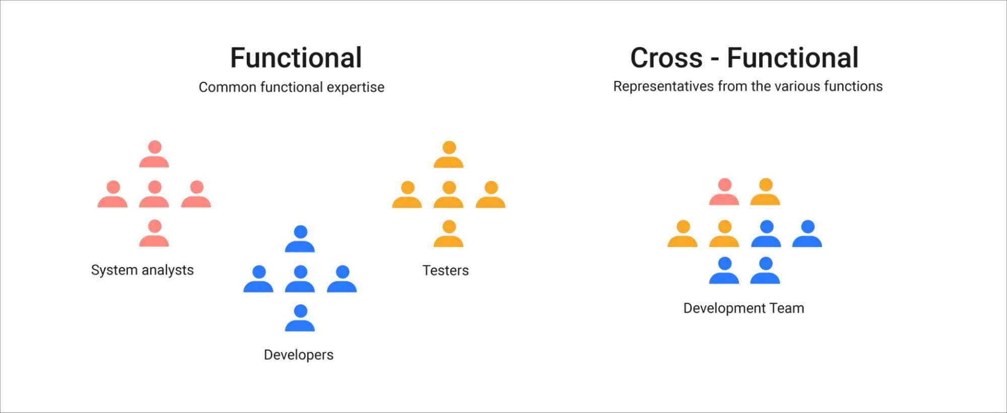 functional vs cross-funtional