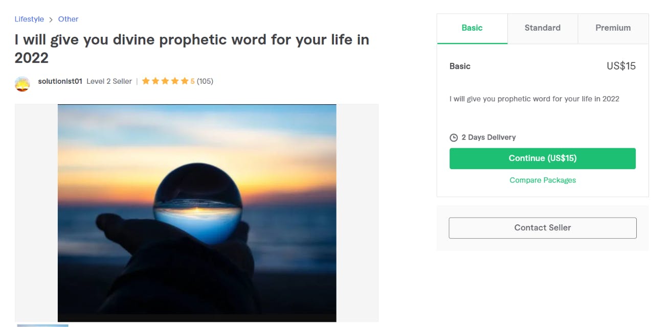 fiverr gig screenshot 2