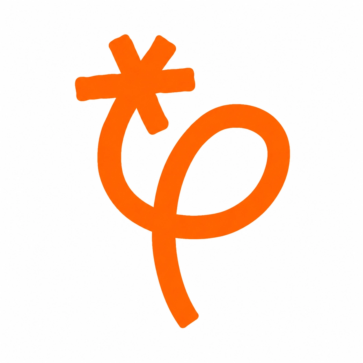 CEO, IPSTYLE