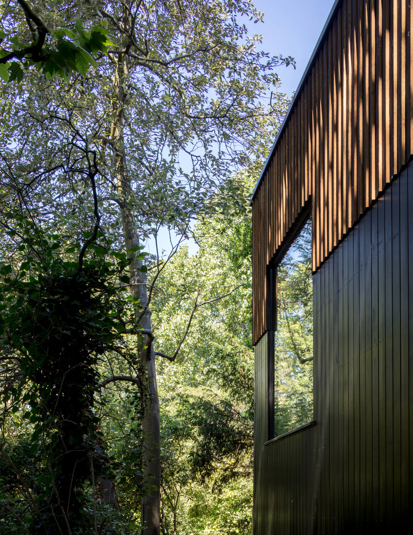 Open Air Theatre Studio | Reed Watts