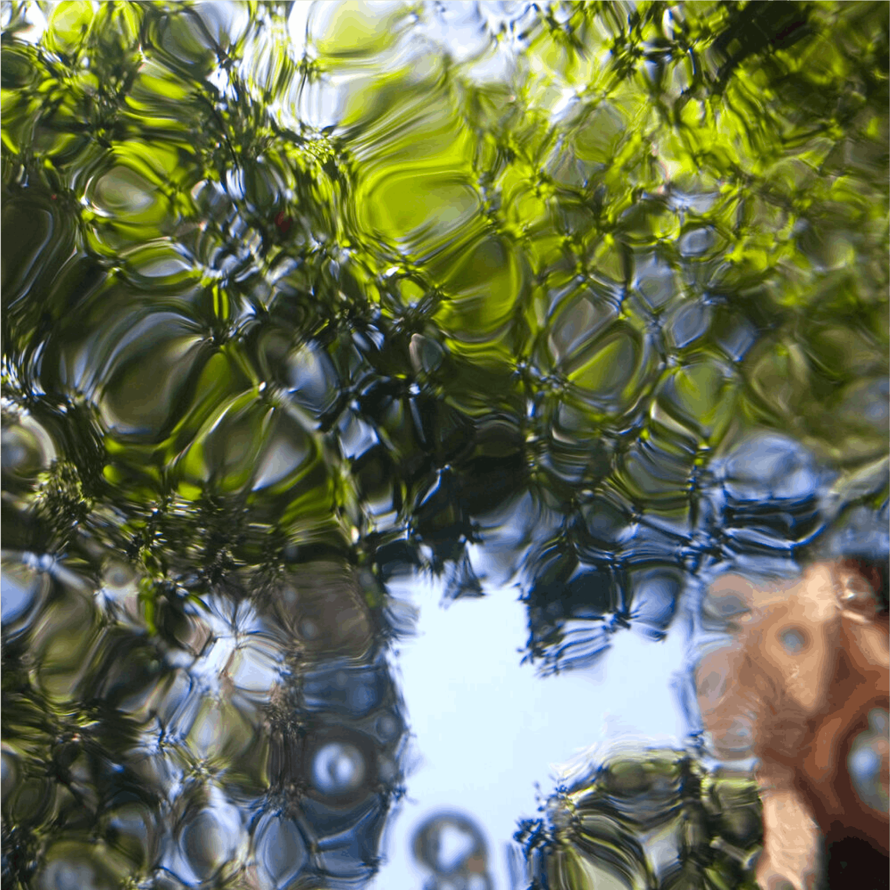 Daniel Wheeler, “GULP #064”, 2007, Archival pigment print face mounted to 1_4” acrylic with hanging strainer, Edition of 8 (Edition of 3 for 54” x 54”)Daniel_Wheeler
