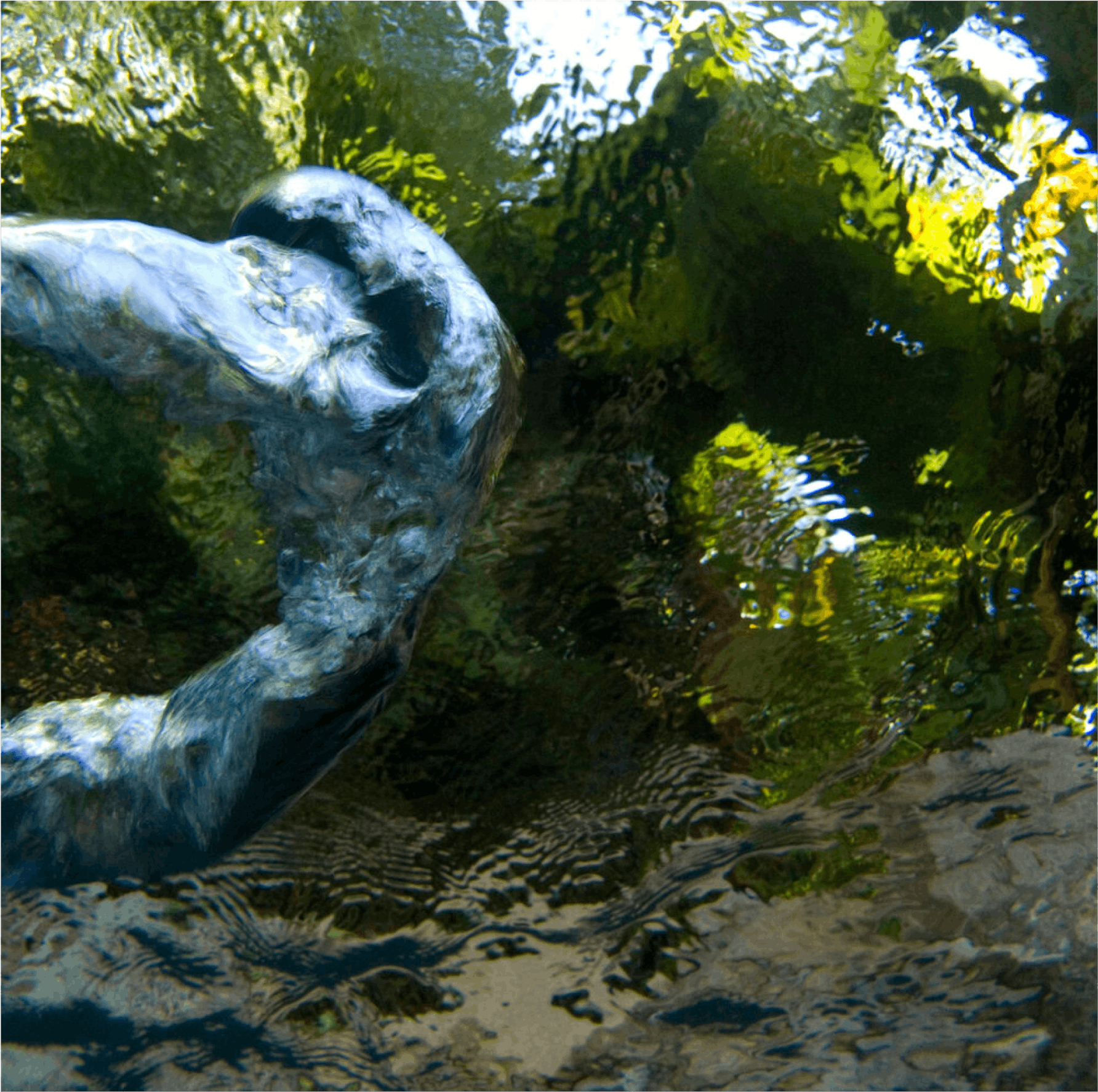 “GULP #074”, 2007, Archival pigment print face mounted to 1_4” acrylic with hanging strainer, Edition of 8 (Edition of 3 for 54” x 54”)