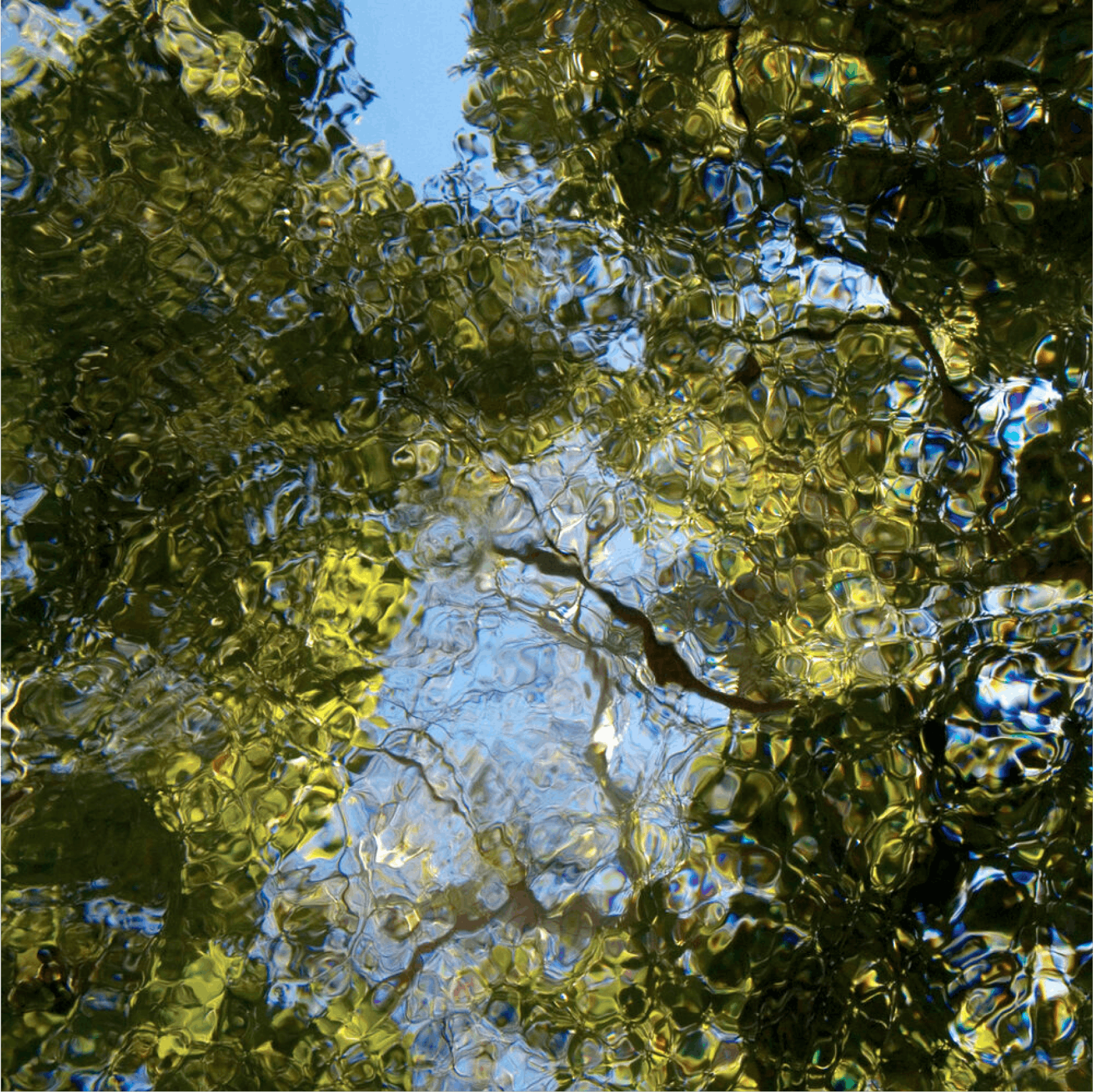 Daniel Wheeler, “GULP #009”, 2006, Archival pigment print face mounted to 1_4” acrylic with hanging strainer, Edition of 8 (Edition of 3 for 54” x 54”)Daniel_Wheeler
