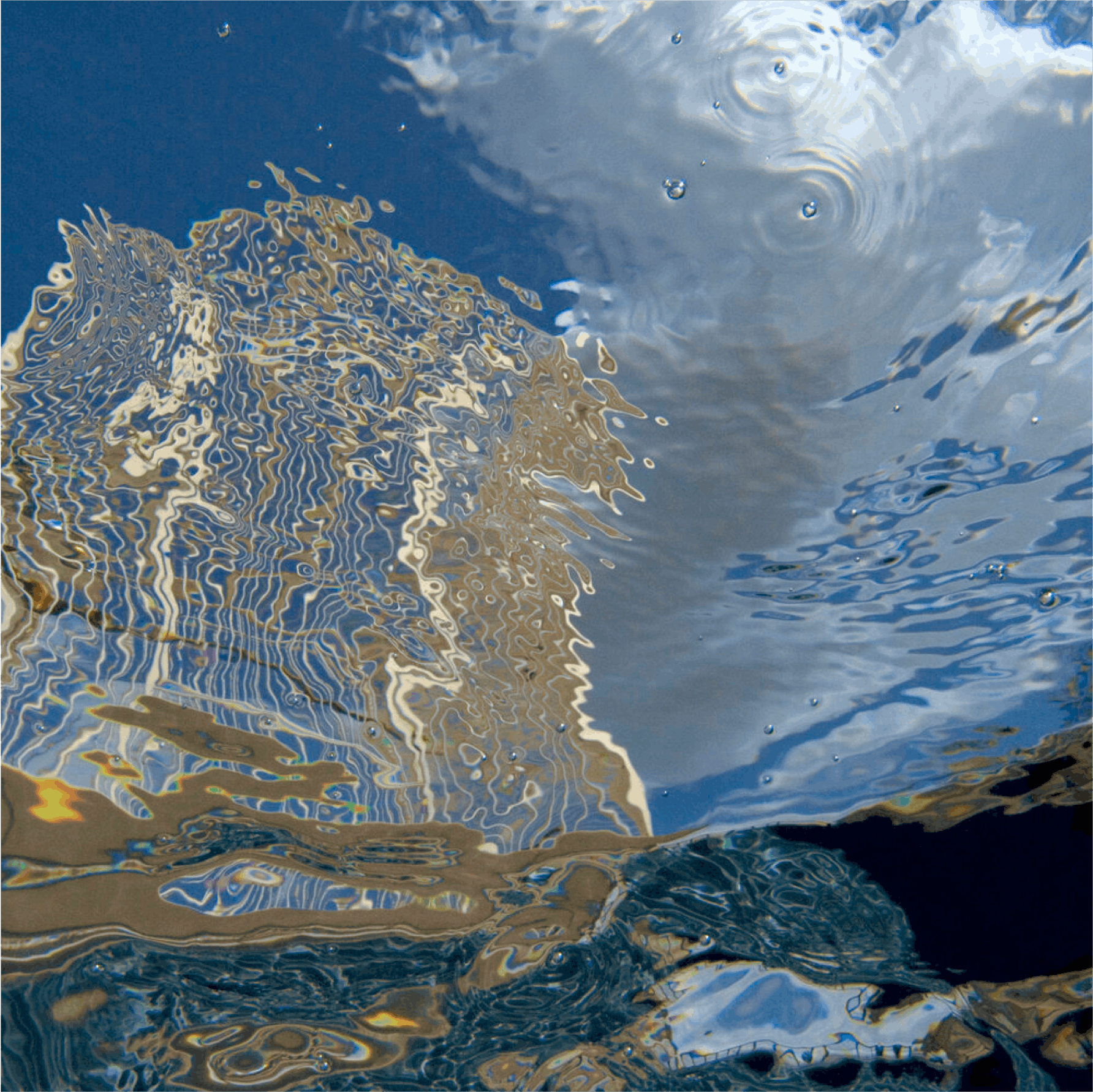 “GULP #018”, 2006, Archival pigment print face mounted to 1/4” acrylic with hanging strainer, Edition of 8 (Edition of 3 for 54” x 54”)