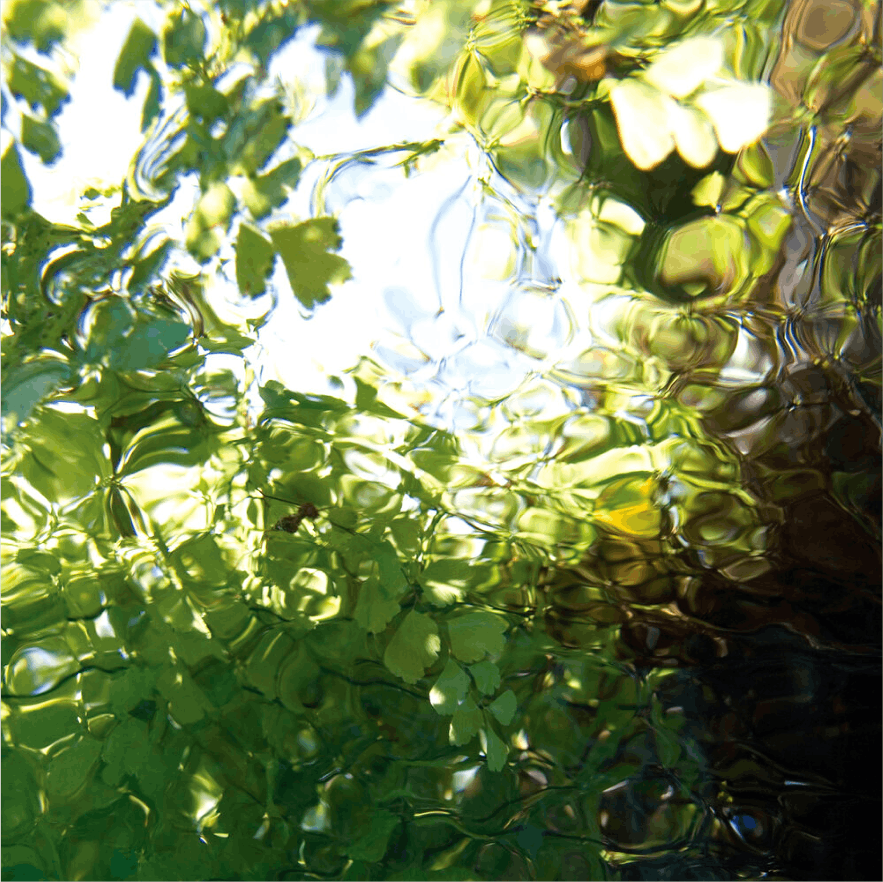 “GULP #022”, 2006, Archival pigment print face mounted to 1/4” acrylic with hanging strainer, Edition of 8 (Edition of 3 for 54” x 54”)
