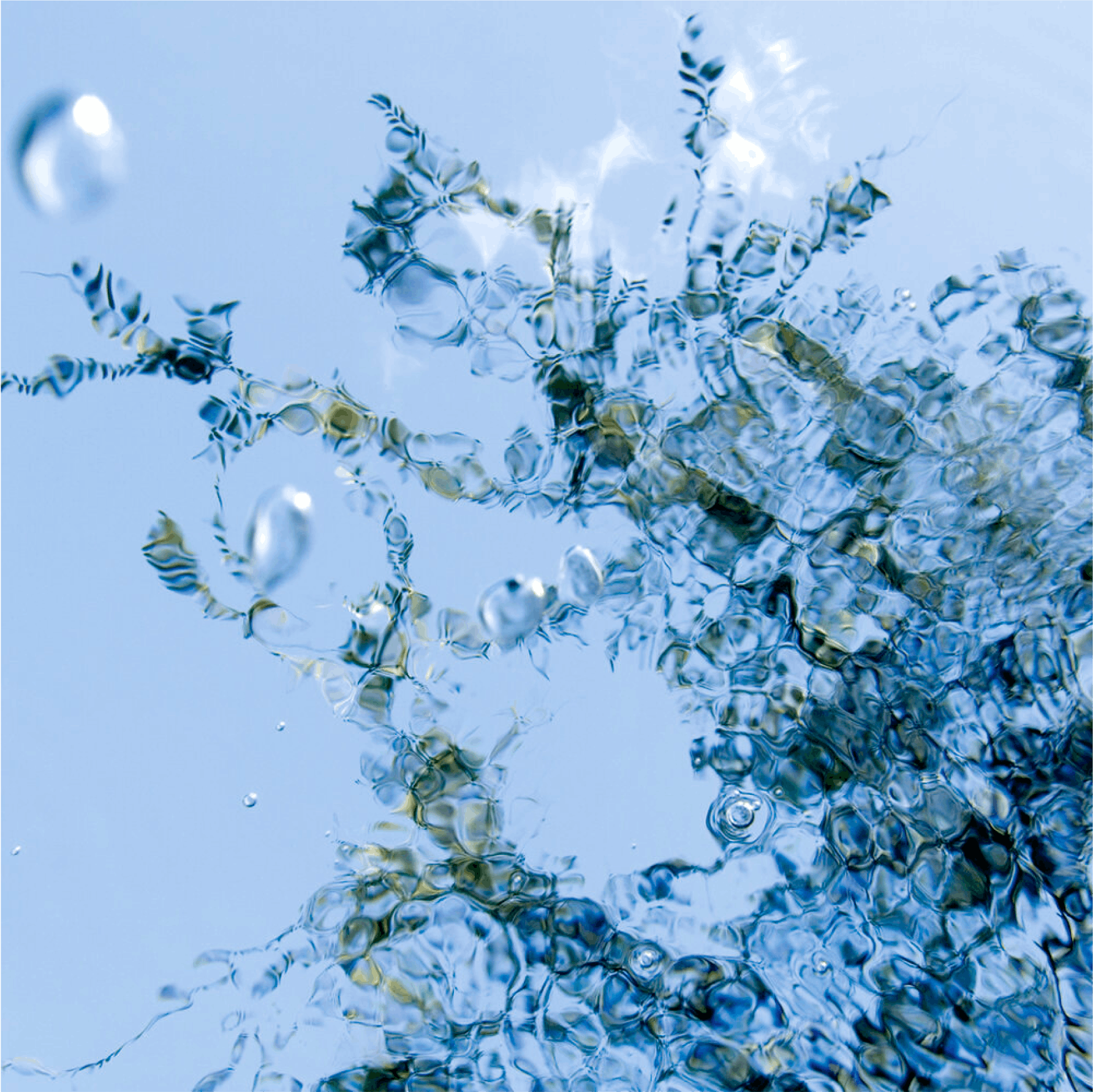 “GULP #031”, 2007, Archival pigment print face mounted to 1/4” acrylic with hanging strainer, Edition of 8 (Edition of 3 for 54” x 54”)