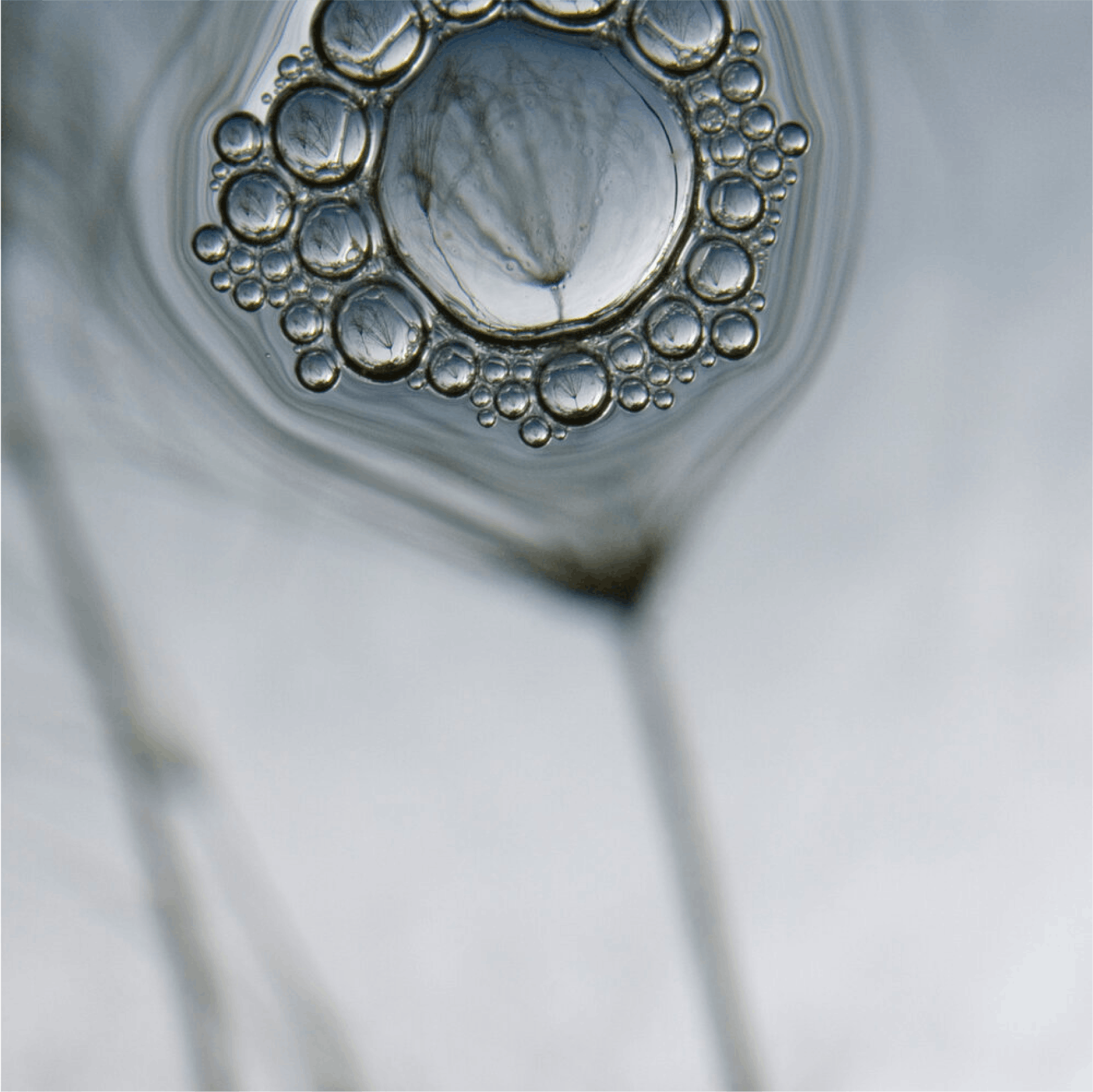 “GULP #049”, 2007, Archival pigment print face mounted to 1/4” acrylic with hanging strainer, Edition of 8 (Edition of 3 for 54” x 54”)