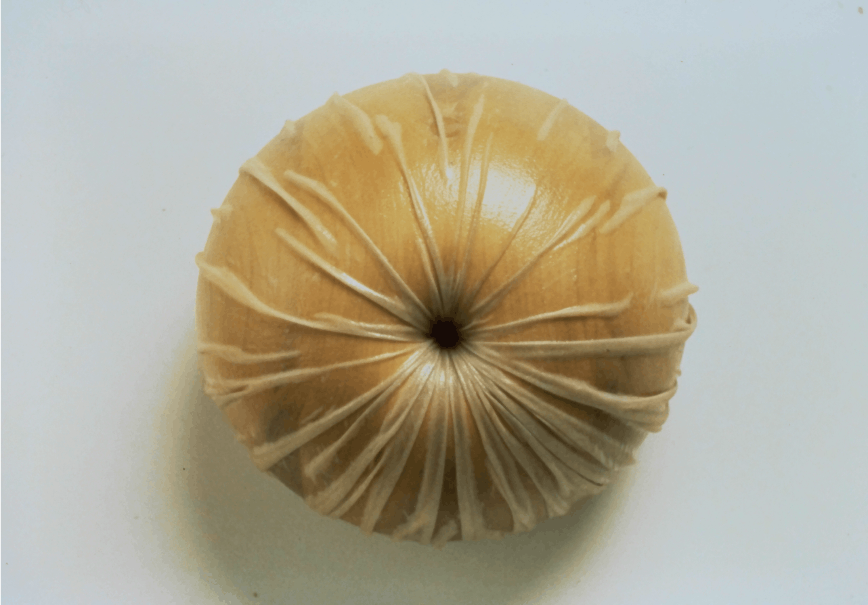 Untitled #122, 1991, wood fabric and resin, 12x12x10