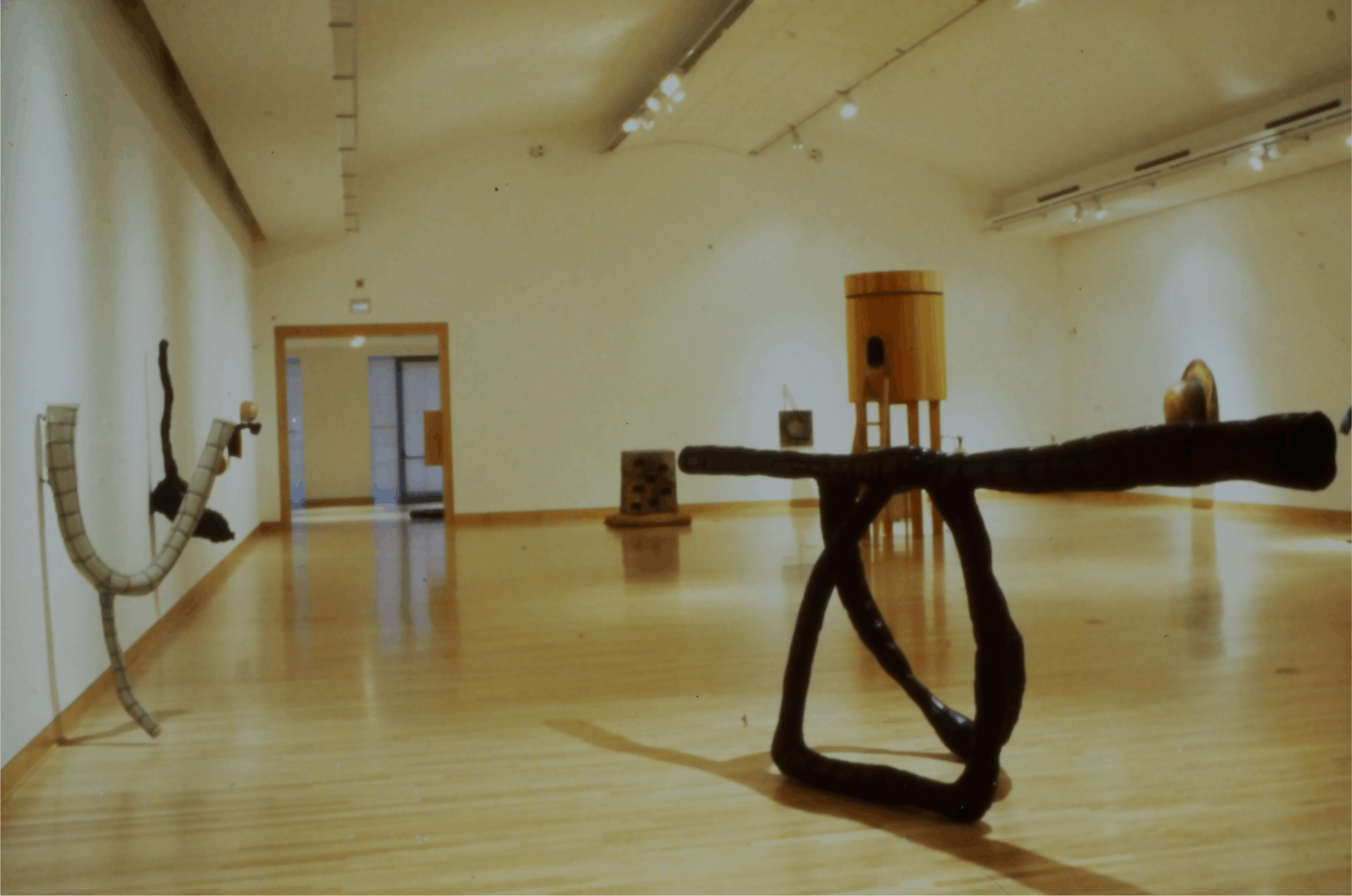 Installation shot of California in 3 dimensions (gallery 1)