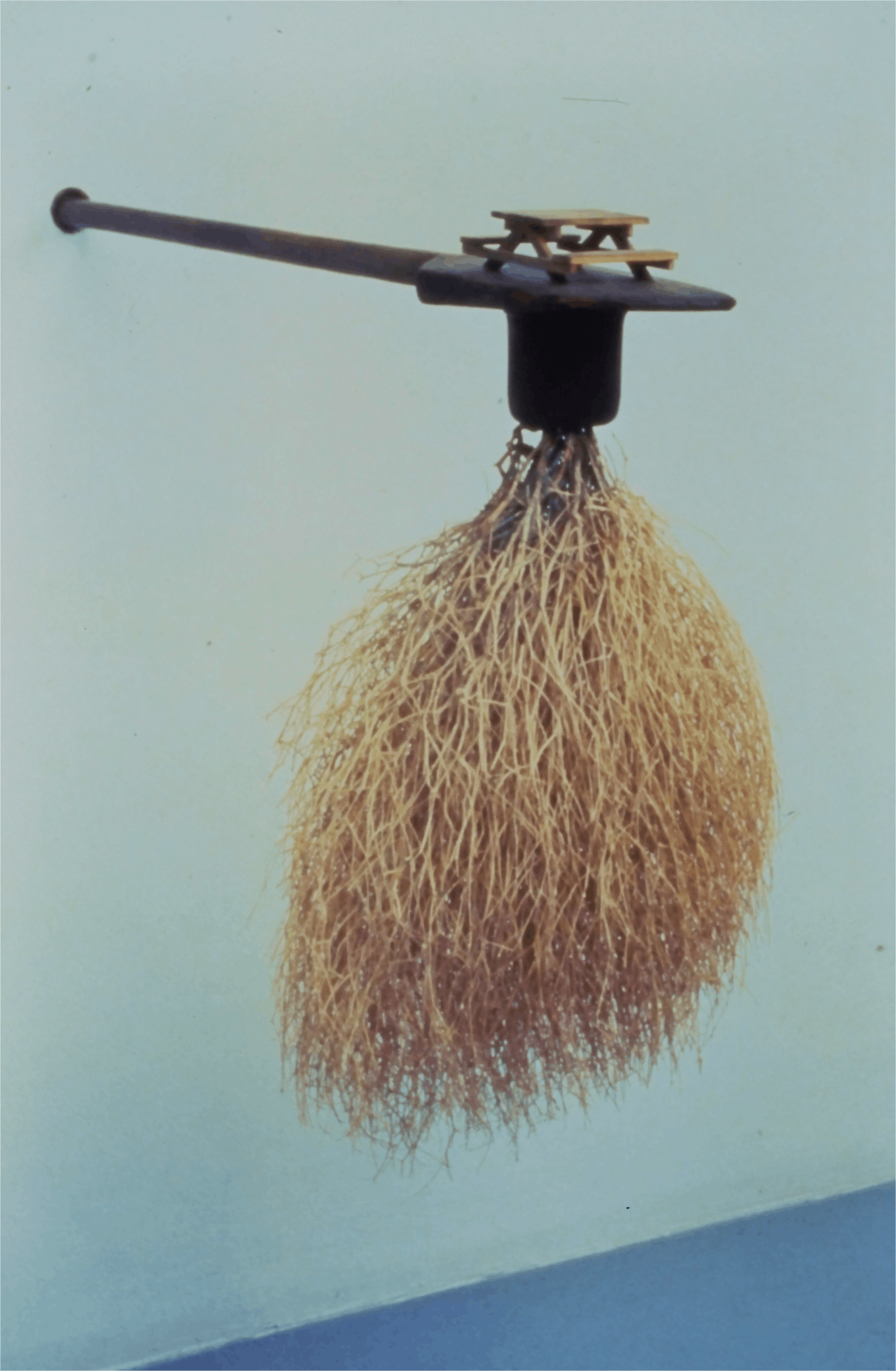 Daniel Wheeler- Untitled (paddle), 1991, wood and tumbleweed, 24x16x36