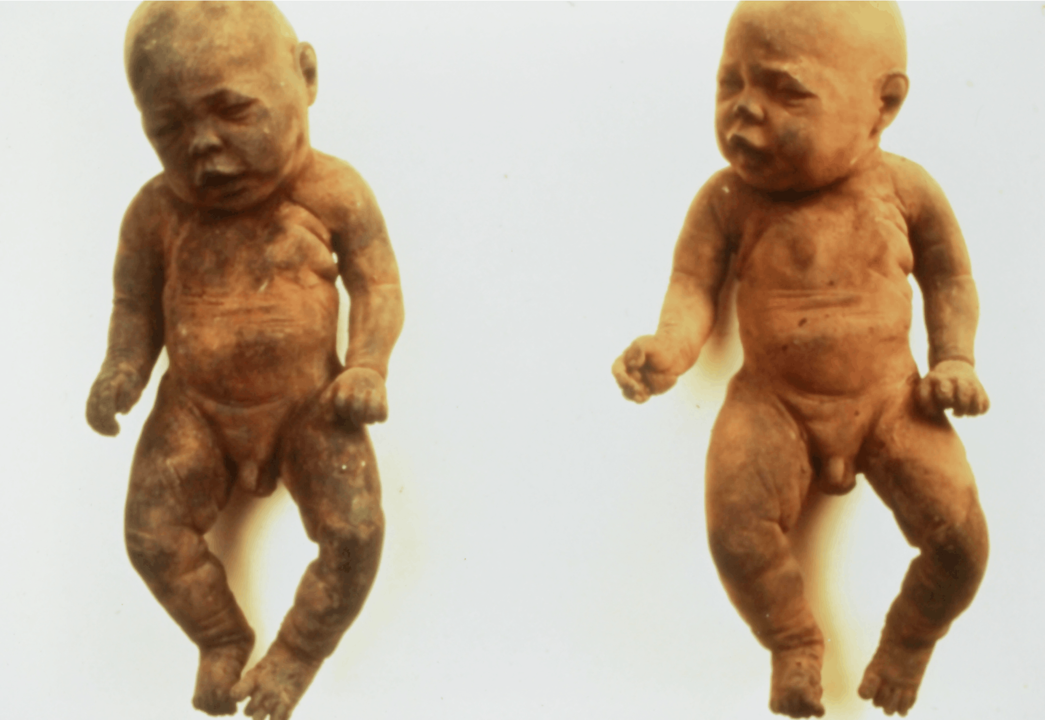 James Croak, Twins 1989, cast dirt, 12x24x6 