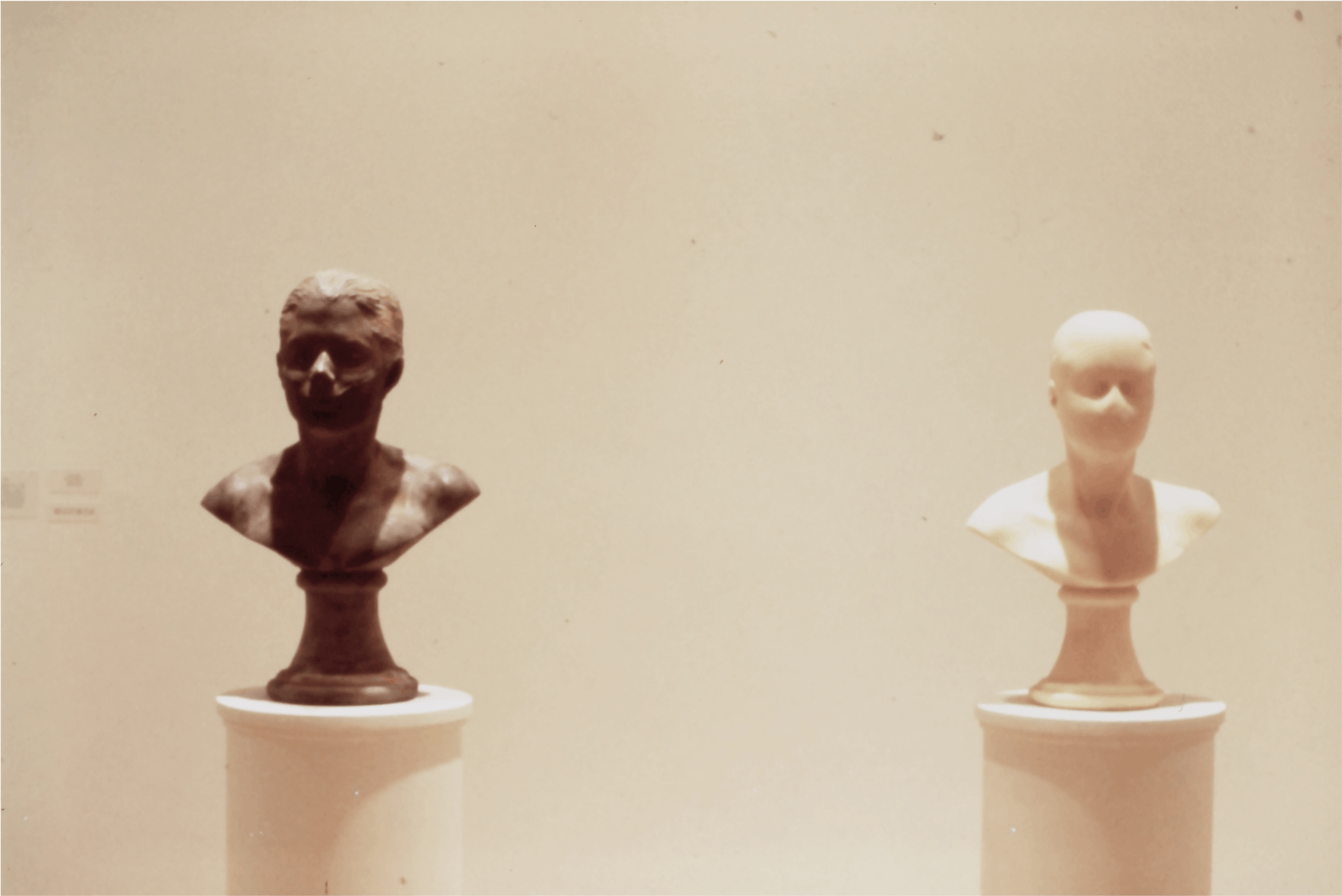 Janine Antoni, Lick and Lather, 1995, chocolate and soap, each 21x13x10 